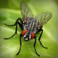 /album/a4-a-jeremenkova/photolia-a01-jpg/