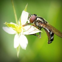 /album/a4-a-jeremenkova/photolia-a02-jpg/