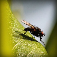 /album/a4-a-jeremenkova/photolia-a04-jpg/