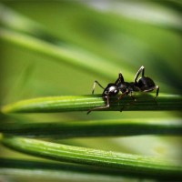 /album/a4-a-jeremenkova/photolia-a05-jpg/