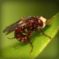 /album/a4-a-jeremenkova/photolia-a06-jpg/