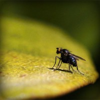 /album/a4-a-jeremenkova/photolia-a07-jpg/