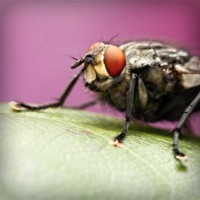 /album/a4-a-jeremenkova/photolia-a08-jpg/